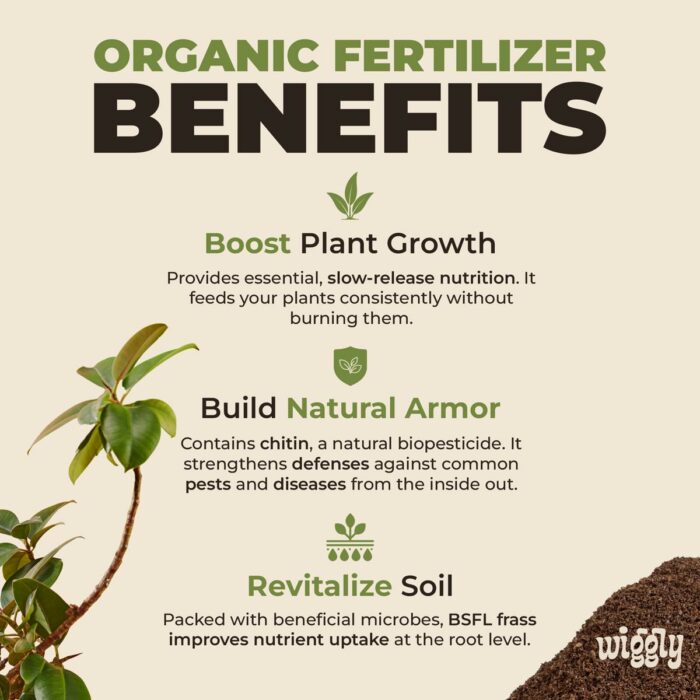 Organic fertilizer - Image 2