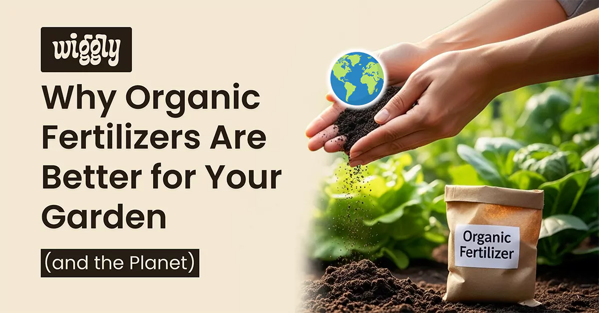 Hands sprinkling organic fertilizer into garden soil with green plants, eco-friendly gardening concept by WigglyFeed